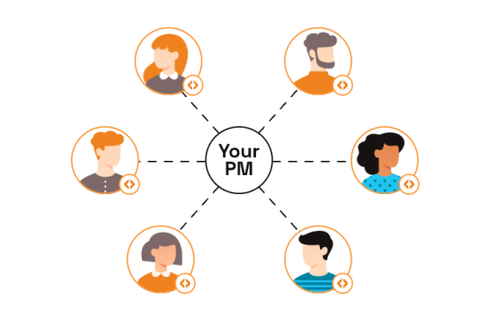 Software Development Teams