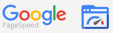 PageSpeed Insights logo