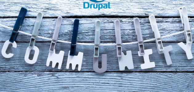Danavero inc. is a proud member of Drupal community